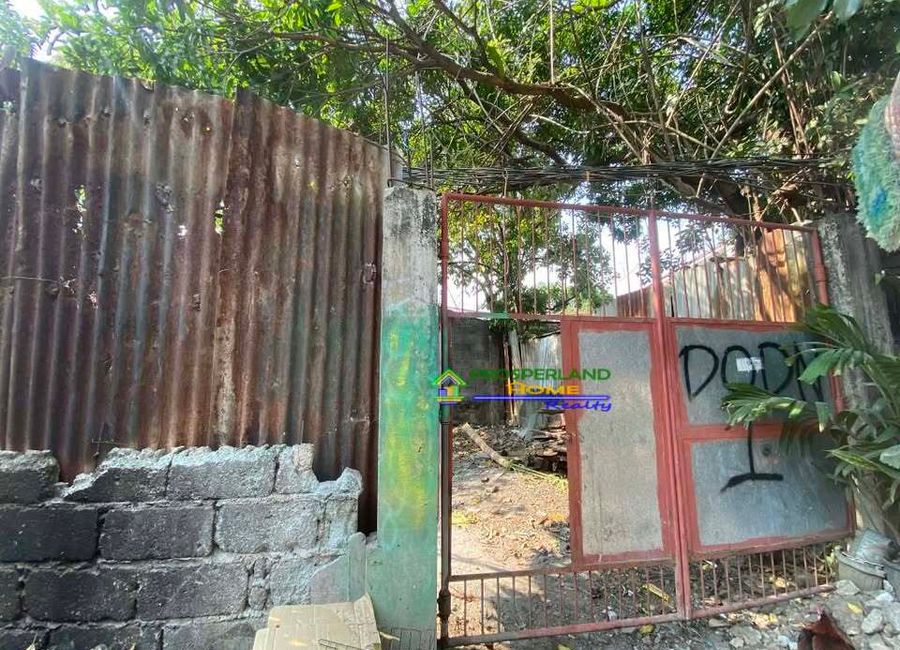M. L. Quezon Avenue, Edenville, San Isidro, Angono, Rizal image 2