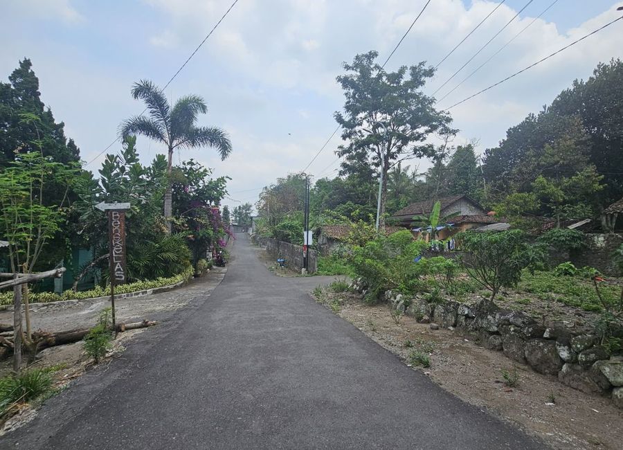 place photo 3