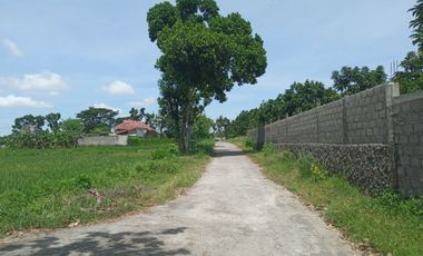 Tanah Strategis Dekat Stadion Maguwoharjo 100 Meter Jl Purwomartani
