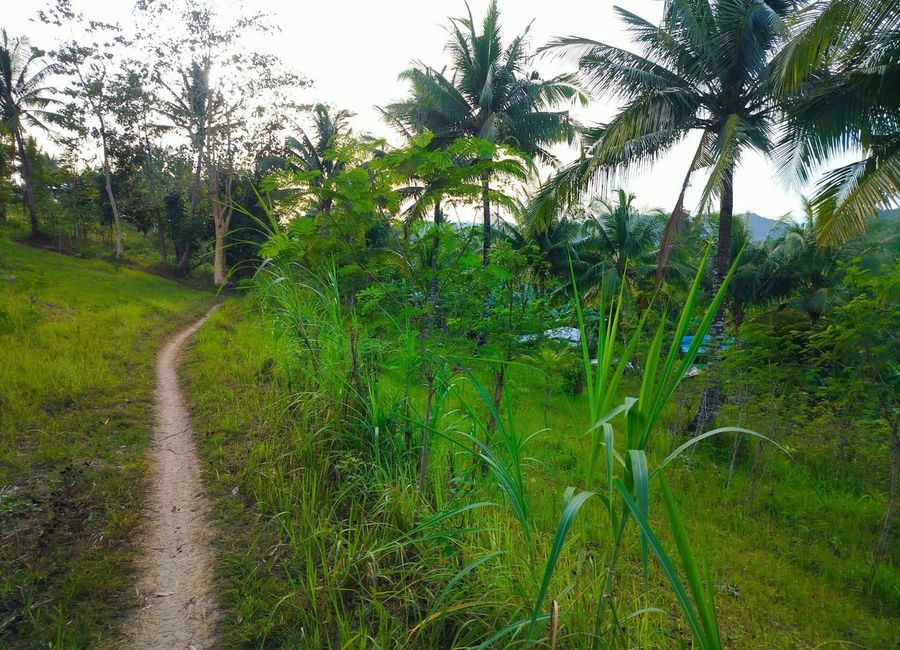 place photo 9