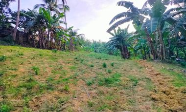 48,000 SQM Titled Property for Sale – Second Lot from Highway |in Aloguinsan, Cebu