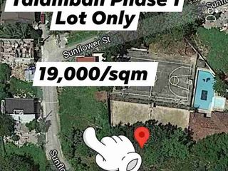 LOT ONLY FOR SALE at Metropolis Subd. Talamban