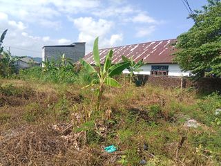Tanah Strategis dan Murah di Kawasan Batui, Banggai dekat dengan Pasar Batui