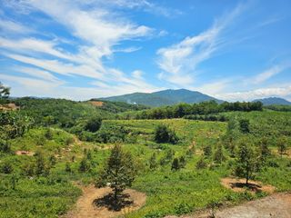 Dijual Kebun Bogor 4.67+ Hektar! (Lengkap dengan 400+ Pohon Durian dan Mangga !!)