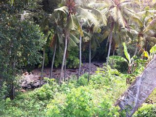 Disewakan Tanah 18 are Riverview di Buwit, Dekat Canggu, Bali