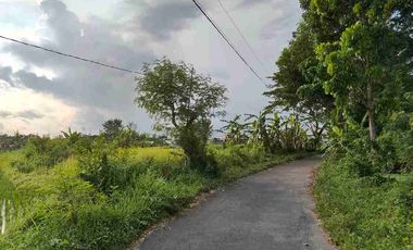 tanah Sardonoharjo Ngaglik
