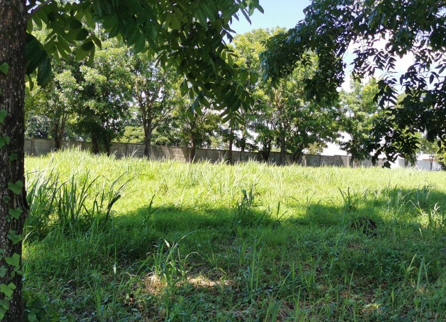 Southern Plains, Canlubang, Calamba, Laguna image 3