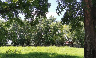 375sqm Premium Residential Lot in Southern Plains Near Silangan Exit Calamba, Laguna