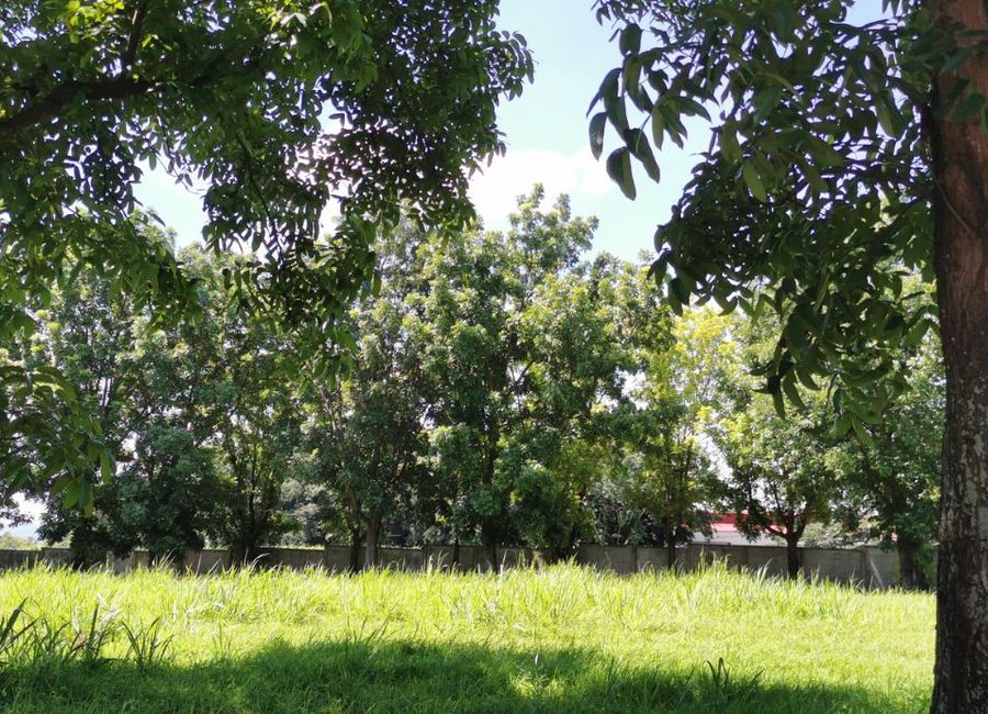 Southern Plains, Canlubang, Calamba, Laguna