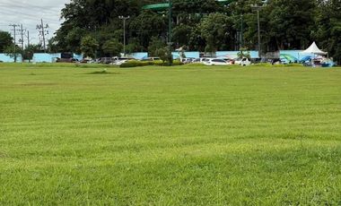 Prime Commercial Lot for Sale in Southwoods, Laguna – Along Main Road Near SLEX Exit