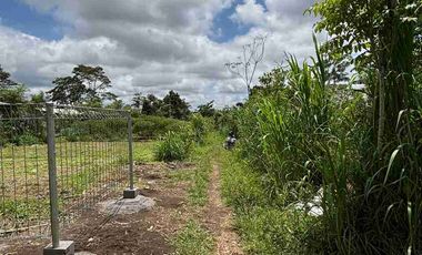 tanah kaveling di Taro ubud kintamani langsung jalan utama