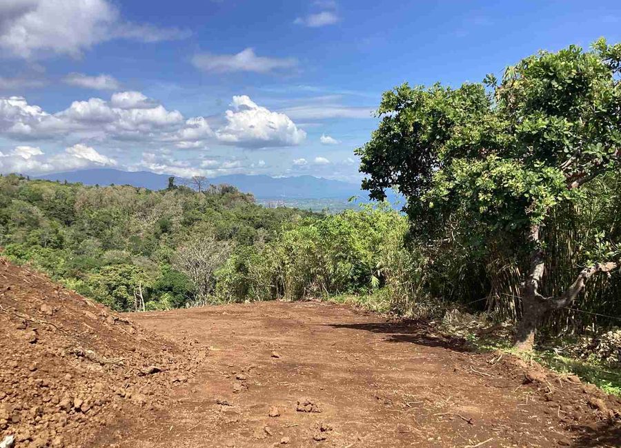 place photo 23