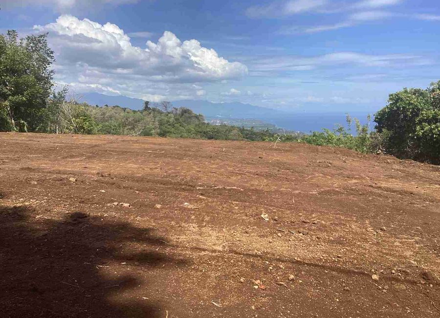 place photo 34