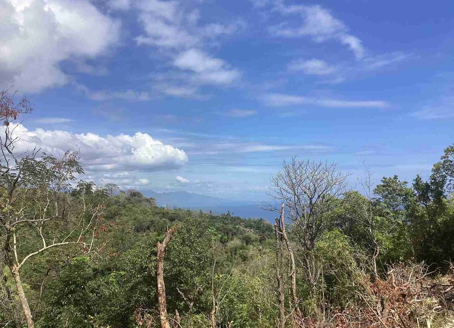place photo 36