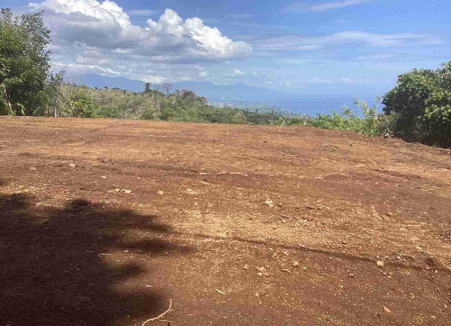 place photo 37