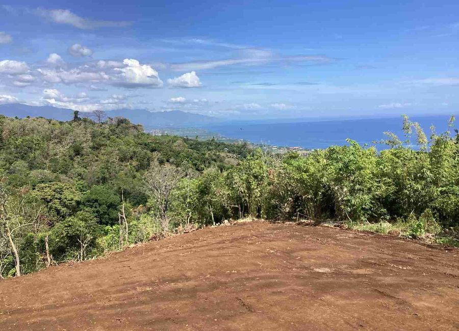 place photo 41