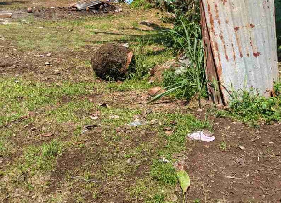 place photo 11