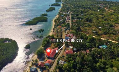 Beach Lot for Sale - 2,554 sqm Beachfront - Panggangan Island, Calape, Bohol