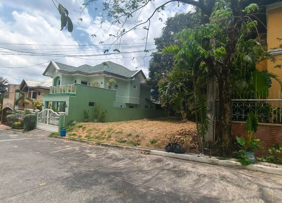Enfamil Street, Oro Vista Royale, Mayamot, Antipolo, Rizal image 3