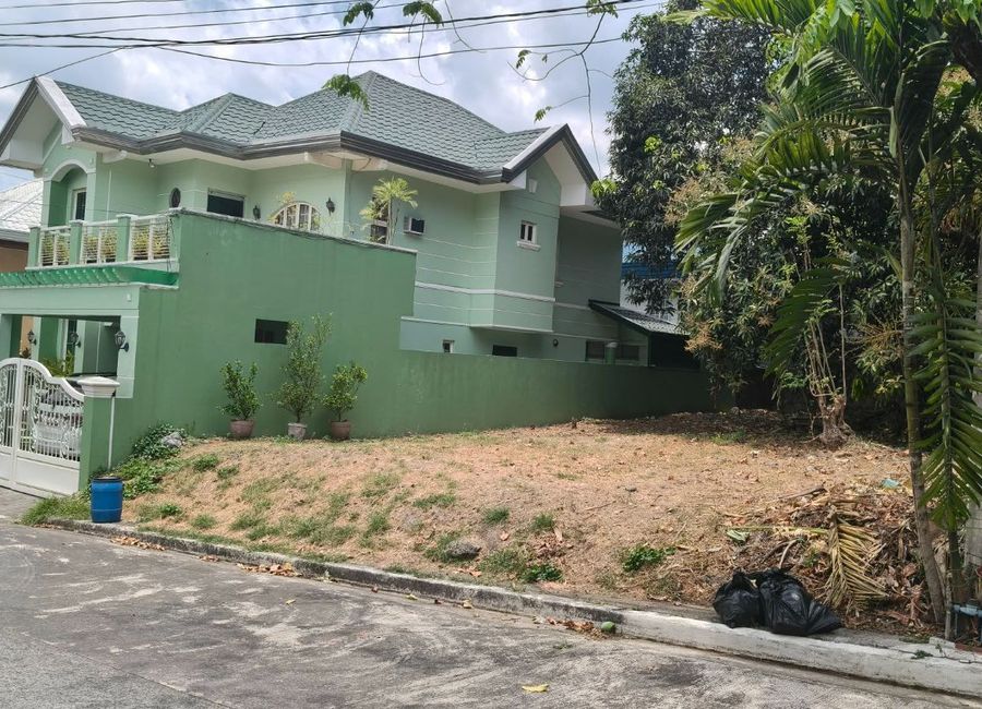 Enfamil Street, Oro Vista Royale, Mayamot, Antipolo, Rizal