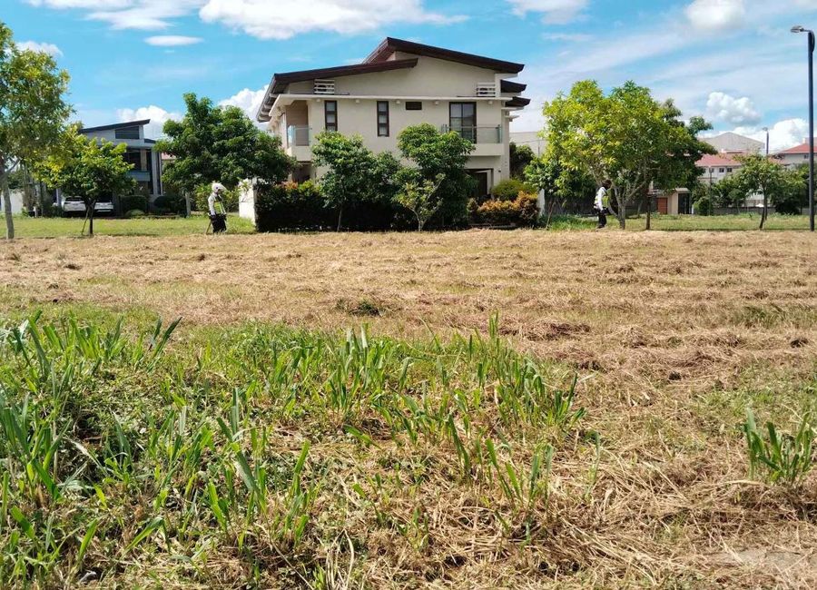 Marsh Street, Treveia, Canlubang, Calamba, Laguna