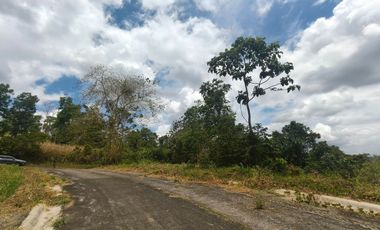 Eastland Heights Antipolo Corner lot for sale nice view