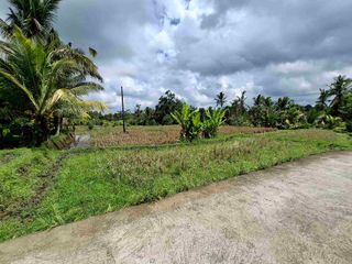 tanah strategis hadap selatan view sawah luasan kecil dekat pasar dan kota di tabanan bali