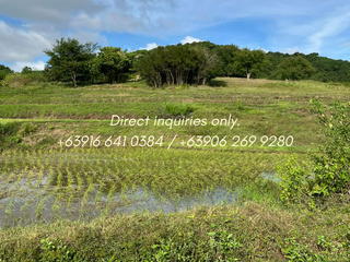 9.8 Hectares ₱300/SQM (Below Market Value) near Hundred Islands