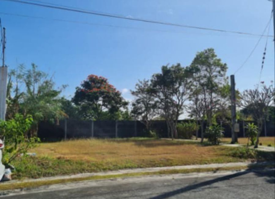 Molave Loop, Verdana Homes, Biñan, Laguna image 2