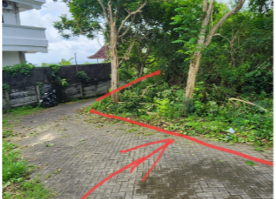 place photo 5