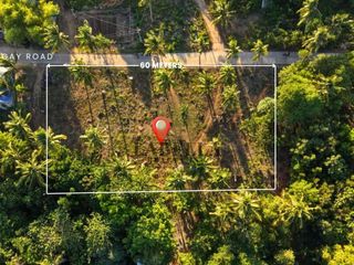 Lot for Sale - 2,048 sqm Near Beach - Lomboy, Panggangan Island, Calape