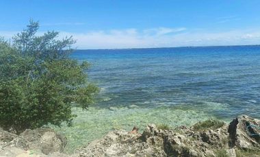 Mactan Cebu Beach House for Sale or Rent