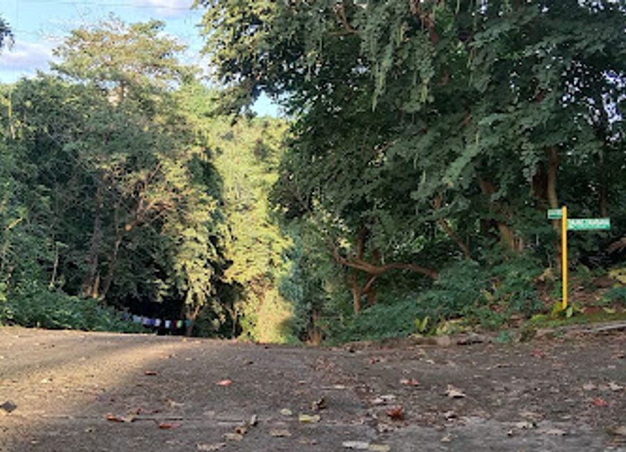 Lakambini Loop, Maharlika Hills, Dolores, Taytay, Rizal image 2