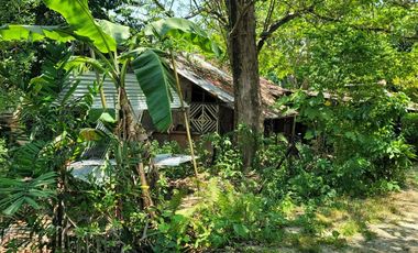 Rush Sale Industrial Lot for Sale in Liloan , Cebu
