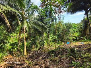 5,370 sqm Clean Title Lot for Sale – Tubigon, Bohol