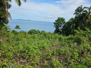 Seaview Lot Near Highway & Beaches for Sale – Maribojoc, Bohol
