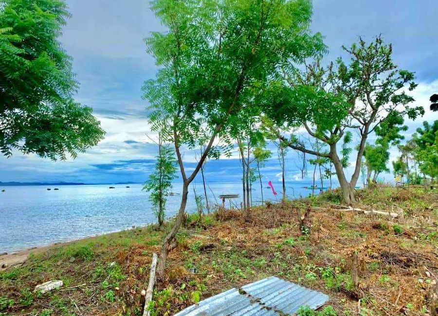 Quezon image 3