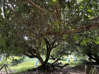 Residential Lot for Sale in Liloan ,Cebu , Philippines
