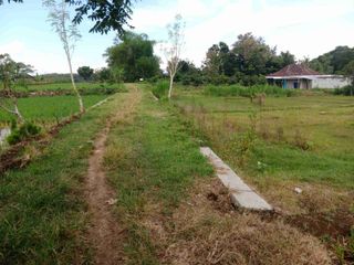 Pekarangan murah 1.233m² dapat dua muka, 2 menit timur BRI Godok Polokarto Sukoharjo :