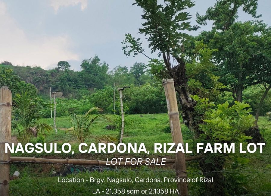 Hulo, Pilapila, Limbon-limbon, Binangonan, Rizal image 3