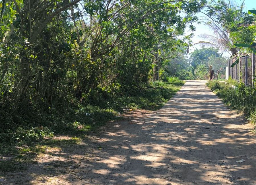 place photo 9