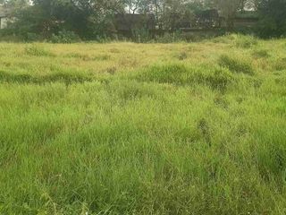 tanah serang banten