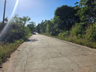 4 Hectares Titled Property for Sale near highway – M. Roxas, Trinidad, Bohol
