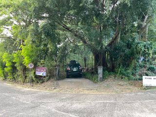 Tali Beach | Residential Lot For Sale - #9987