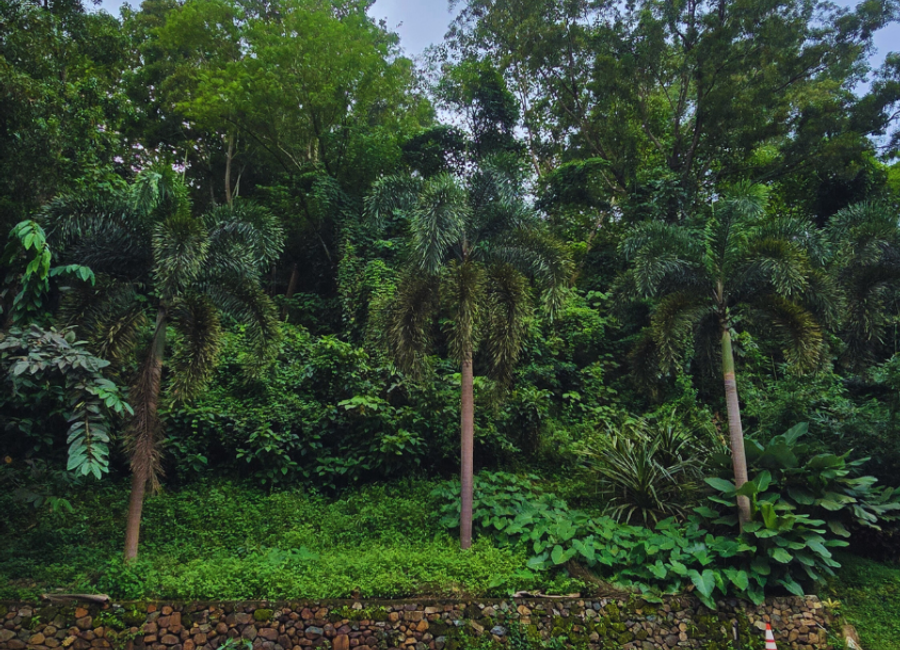 Parkridge Drive, Park Ridge, Santa Cruz, Antipolo, Rizal