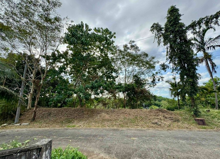 Thyme Street, Mandala South, Timberland Heights, San Mateo, Rizal image 3