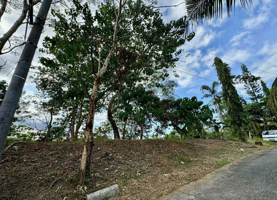 Thyme Street, Mandala South, Timberland Heights, San Mateo, Rizal