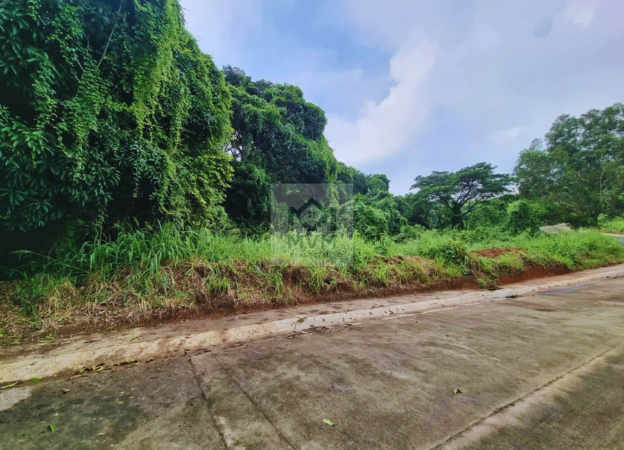 Parkridge Drive, Park Ridge, Santa Cruz, Antipolo, Rizal