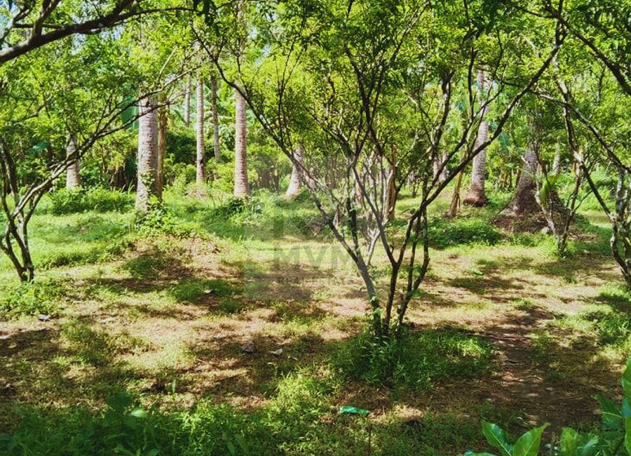 Cabatang, Tiaong, 2nd District, Quezon
