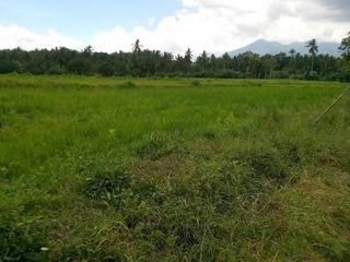 11.126 Hectares Farm Lot for Sale in Liliw, Laguna